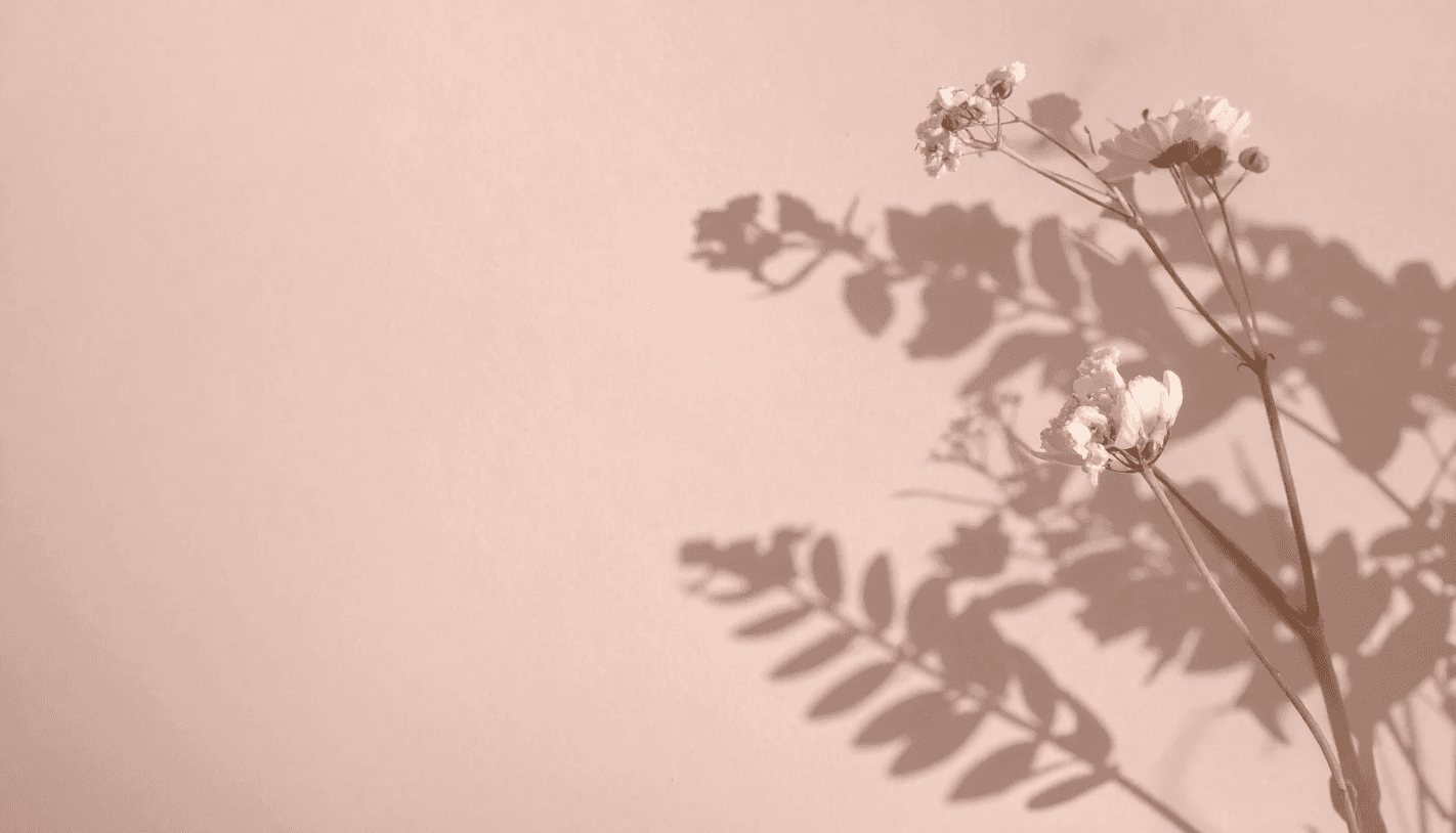 Communauté de femmes entrepreneures et créatrices inspirantes